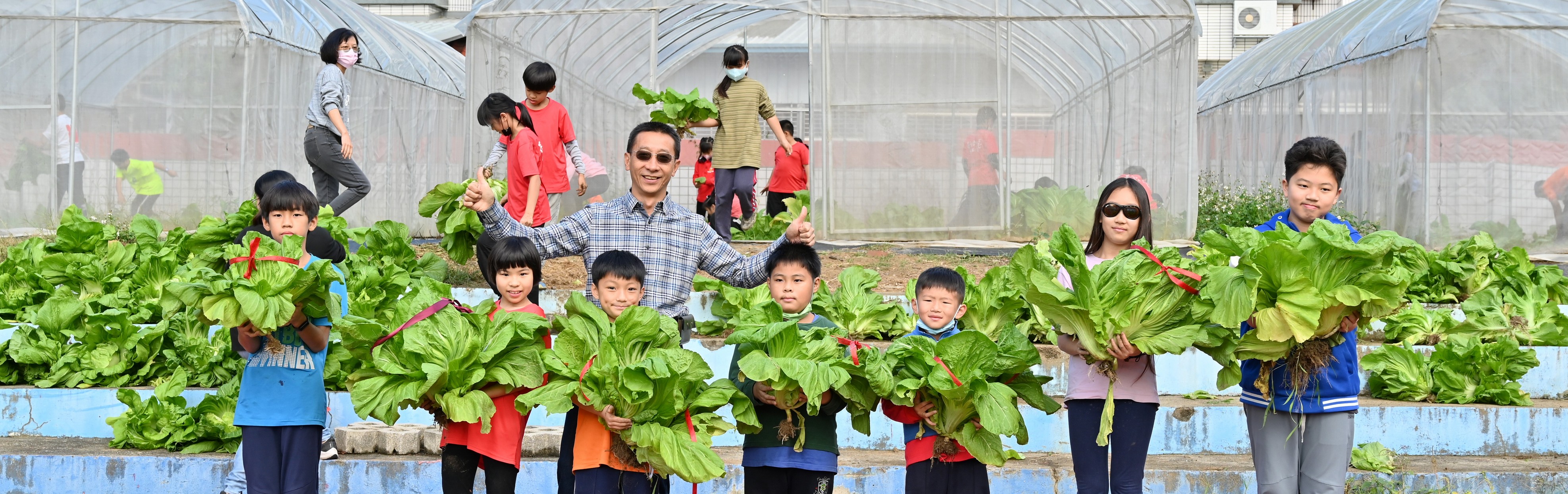 食農教育課程：採收芥菜